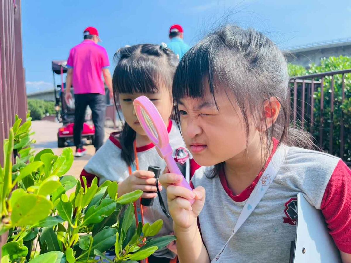 line_album_紅樹林生態教學_251015_138 line_album_紅樹林生態教學_251015_138