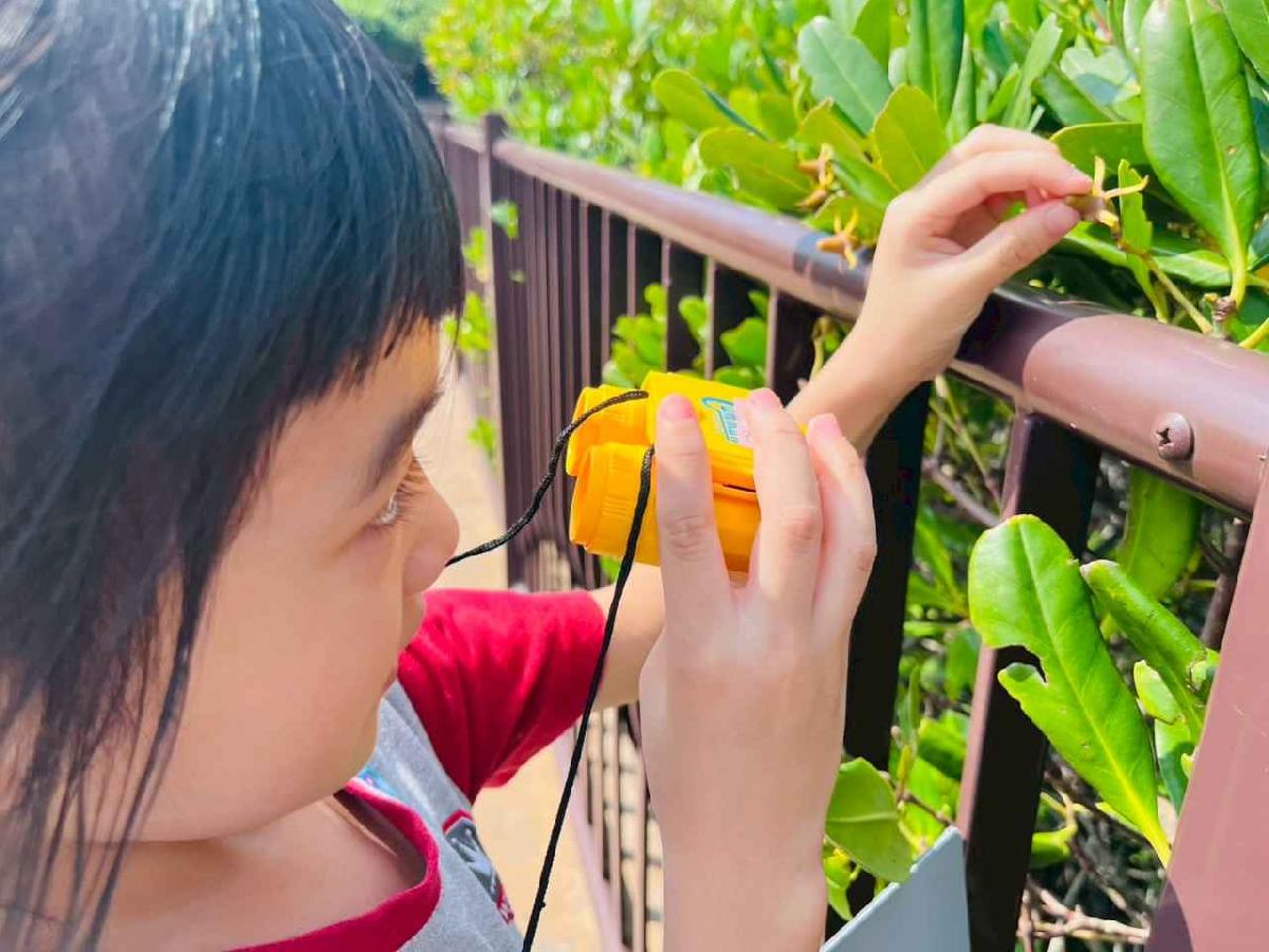 line_album_紅樹林生態教學_251015_139 line_album_紅樹林生態教學_251015_139