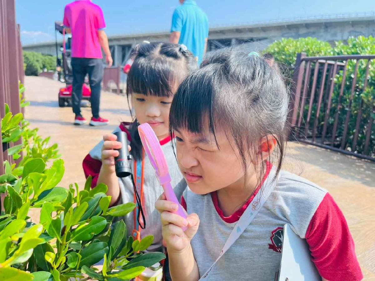 line_album_紅樹林生態教學_251015_141 line_album_紅樹林生態教學_251015_141