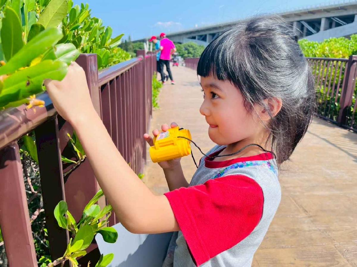 line_album_紅樹林生態教學_251015_143 line_album_紅樹林生態教學_251015_143