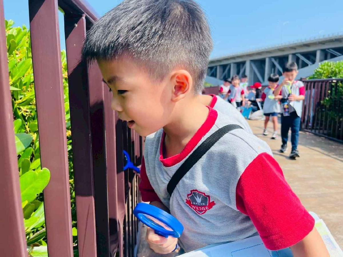 line_album_紅樹林生態教學_251015_144 line_album_紅樹林生態教學_251015_144