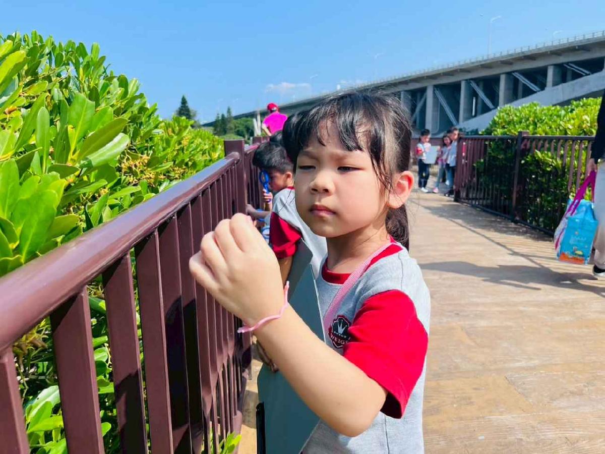 line_album_紅樹林生態教學_251015_145 line_album_紅樹林生態教學_251015_145