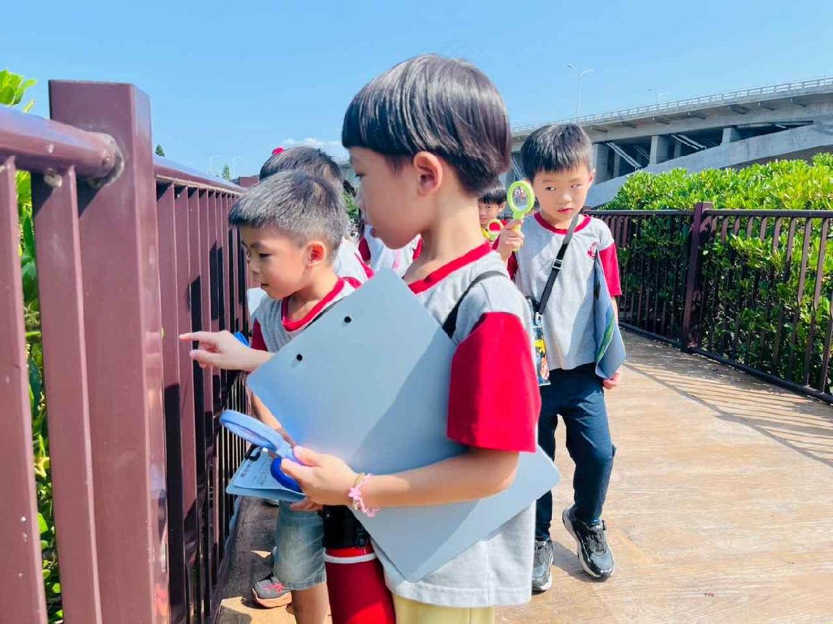 line_album_紅樹林生態教學_251015_146 line_album_紅樹林生態教學_251015_146