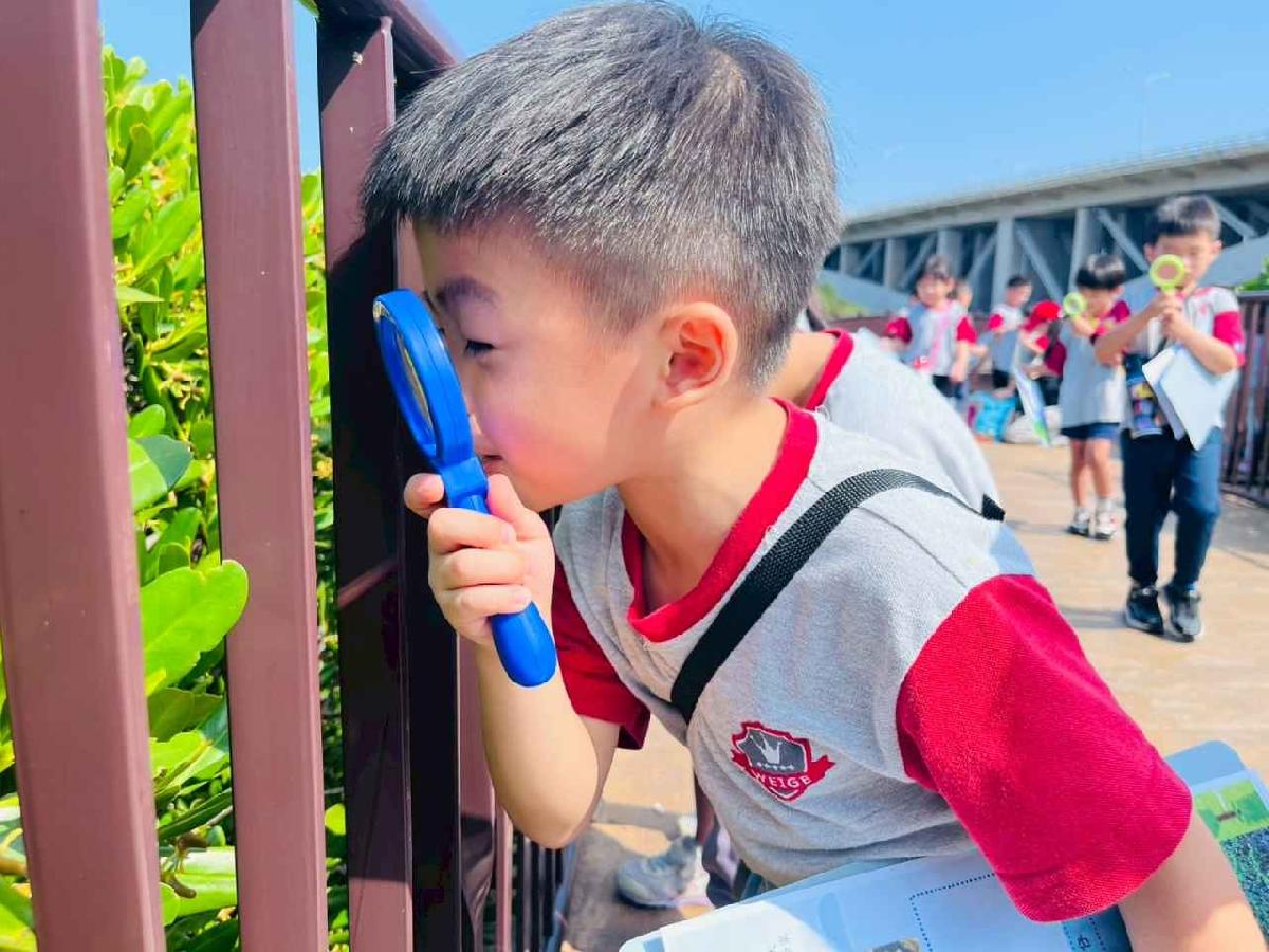 line_album_紅樹林生態教學_251015_147 line_album_紅樹林生態教學_251015_147