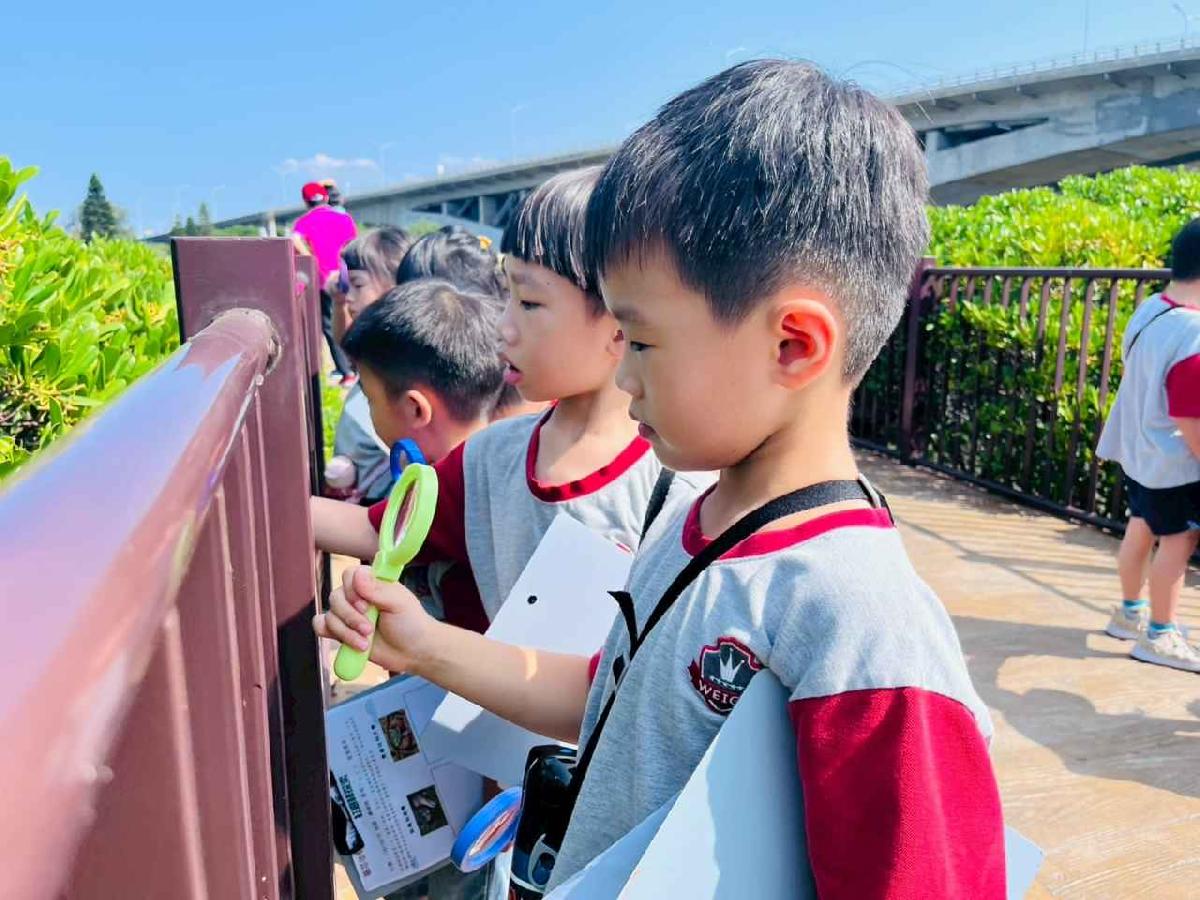 line_album_紅樹林生態教學_251015_149 line_album_紅樹林生態教學_251015_149