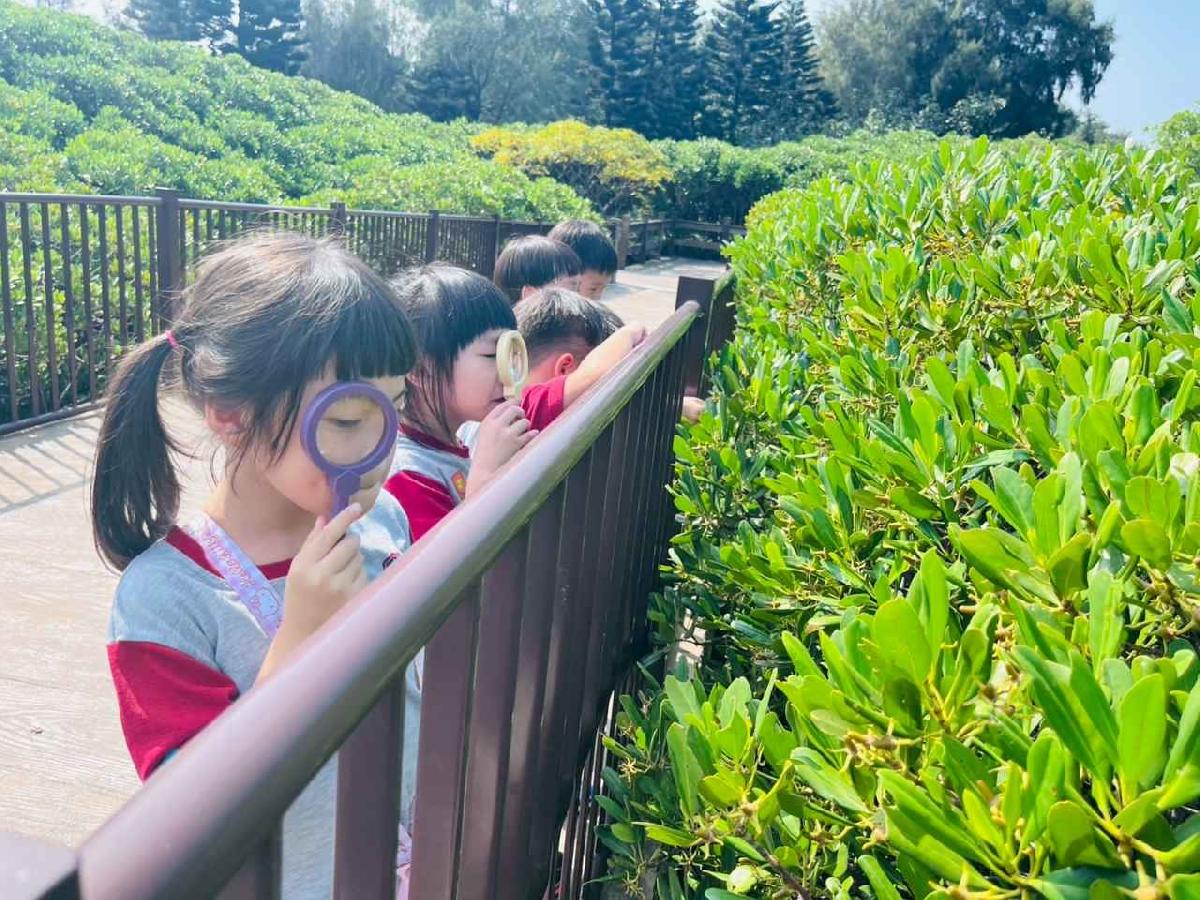 line_album_紅樹林生態教學_251015_153 line_album_紅樹林生態教學_251015_153