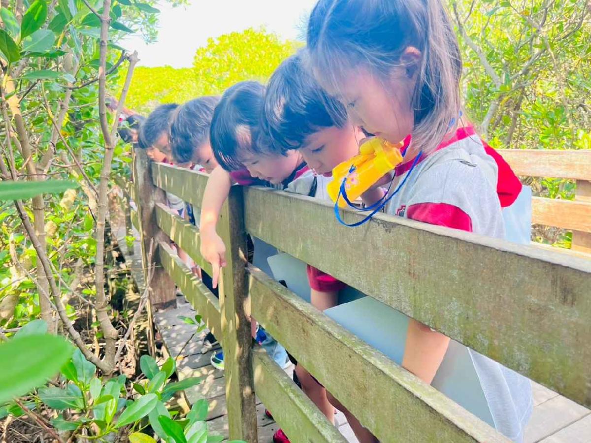 line_album_紅樹林生態教學_251015_159 line_album_紅樹林生態教學_251015_159