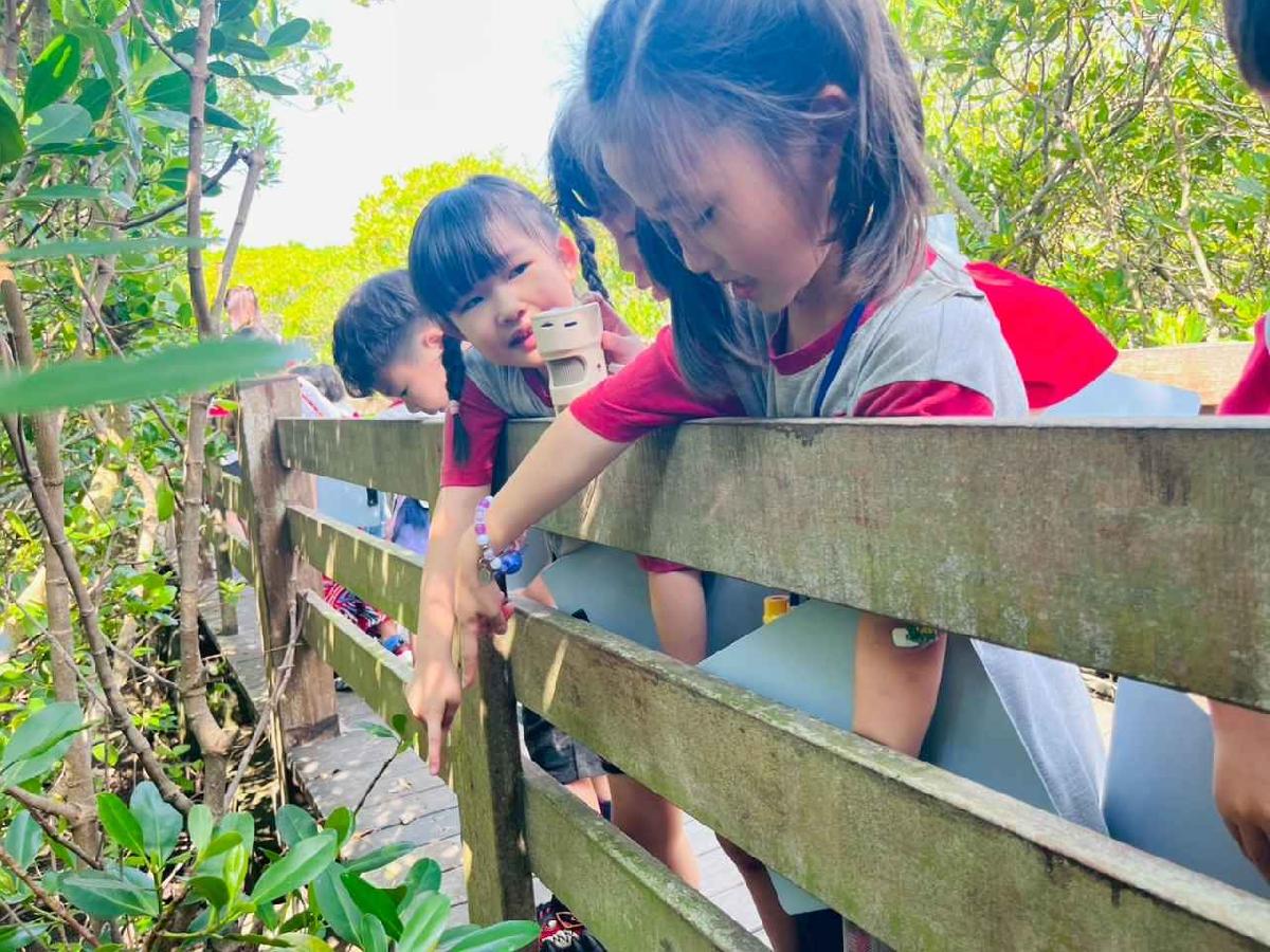 line_album_紅樹林生態教學_251015_160 line_album_紅樹林生態教學_251015_160