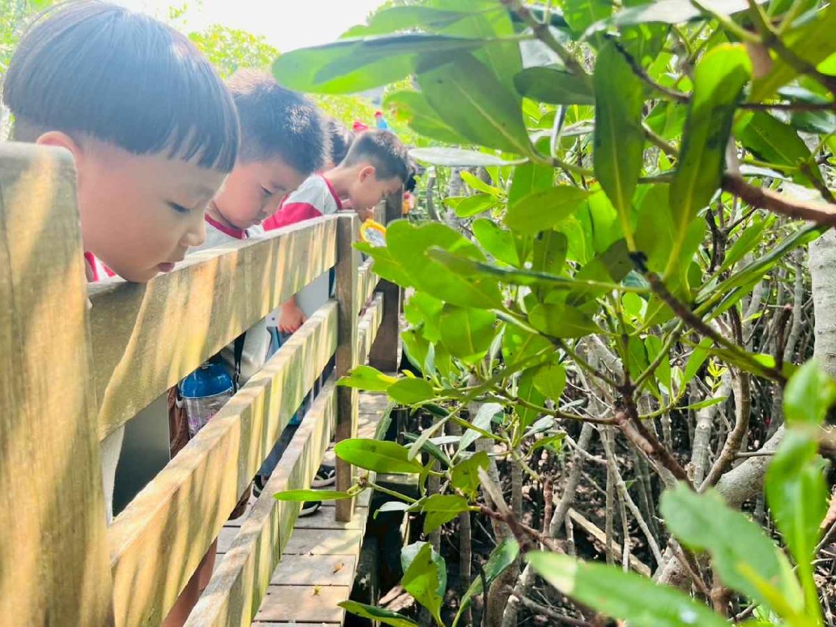 line_album_紅樹林生態教學_251015_163 line_album_紅樹林生態教學_251015_163