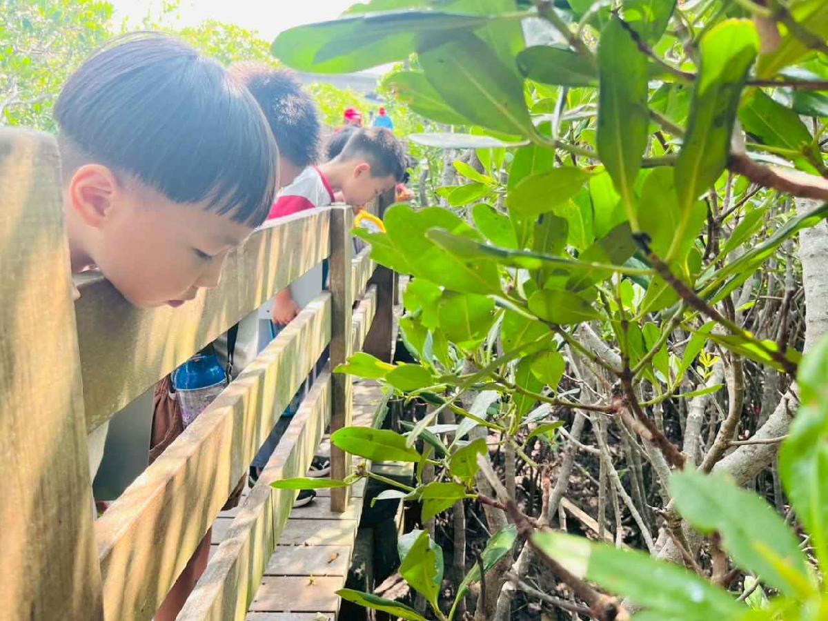 line_album_紅樹林生態教學_251015_166 line_album_紅樹林生態教學_251015_166