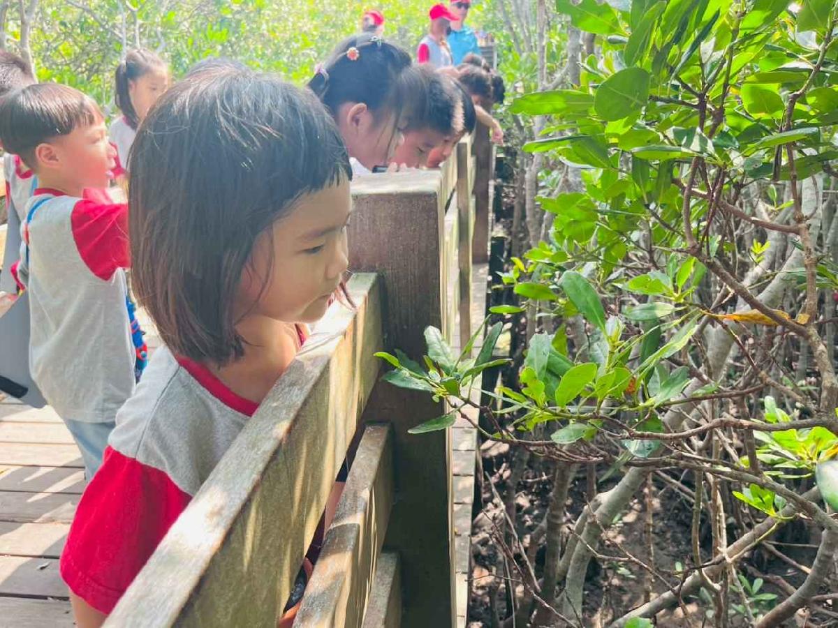 line_album_紅樹林生態教學_251015_169 line_album_紅樹林生態教學_251015_169