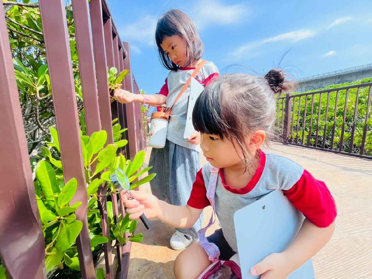 line_album_紅樹林生態教學_251015_115 line_album_紅樹林生態教學_251015_115