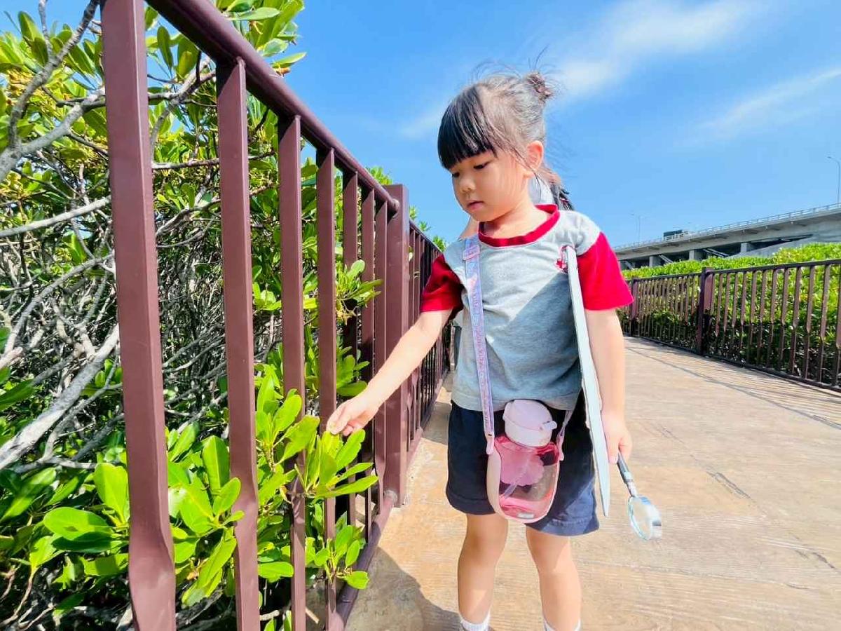 line_album_紅樹林生態教學_251015_114 line_album_紅樹林生態教學_251015_114