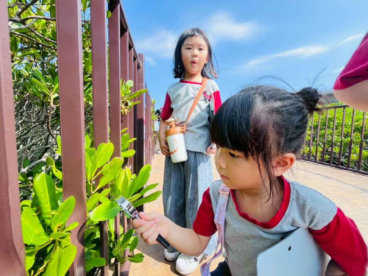 line_album_紅樹林生態教學_251015_117 line_album_紅樹林生態教學_251015_117