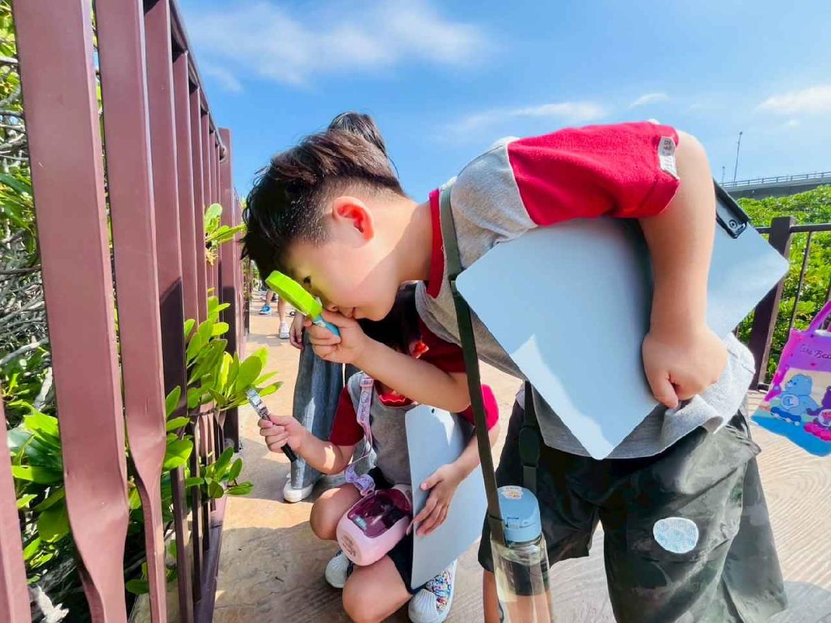 line_album_紅樹林生態教學_251015_118 line_album_紅樹林生態教學_251015_118