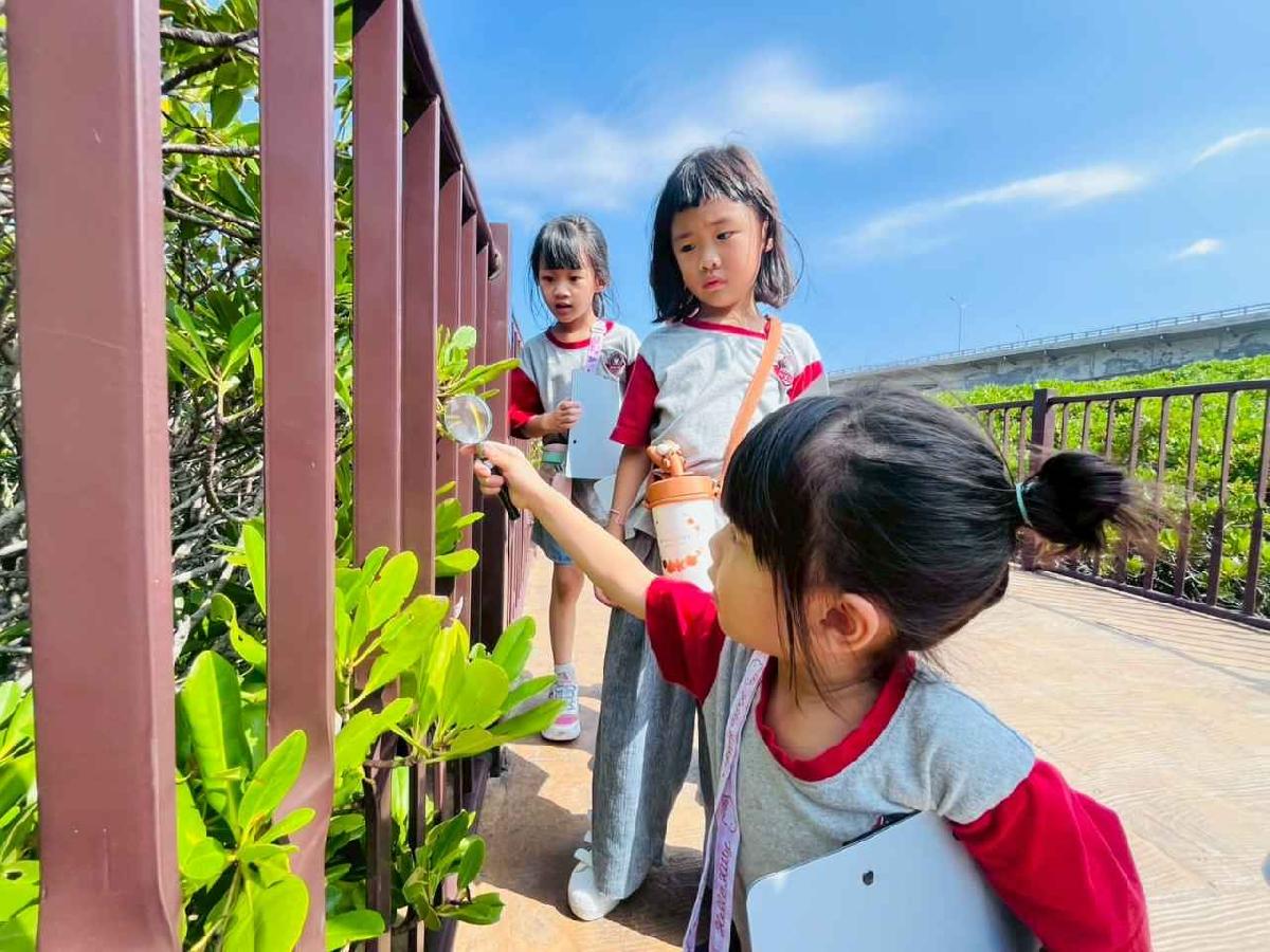 line_album_紅樹林生態教學_251015_119 line_album_紅樹林生態教學_251015_119