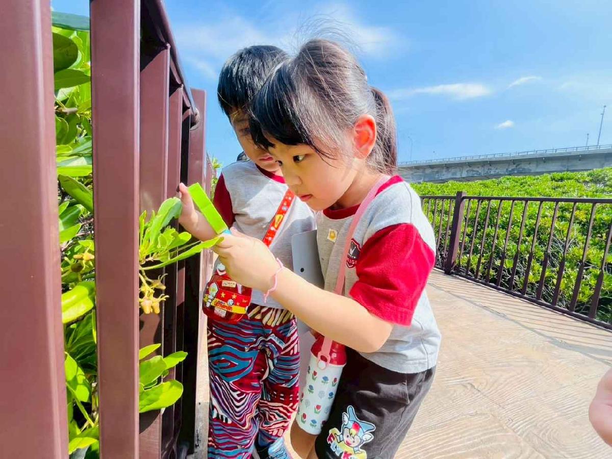 line_album_紅樹林生態教學_251015_121 line_album_紅樹林生態教學_251015_121