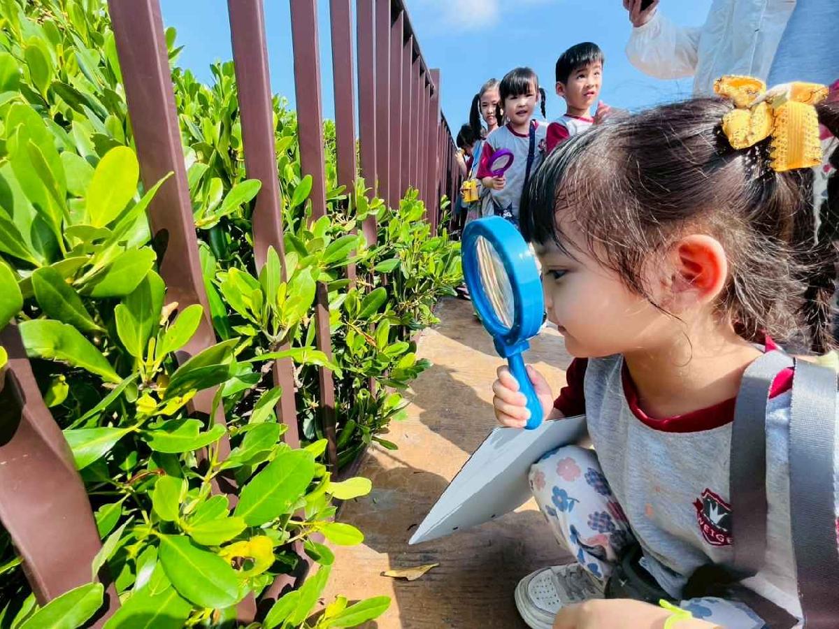 line_album_紅樹林生態教學_251015_122 line_album_紅樹林生態教學_251015_122