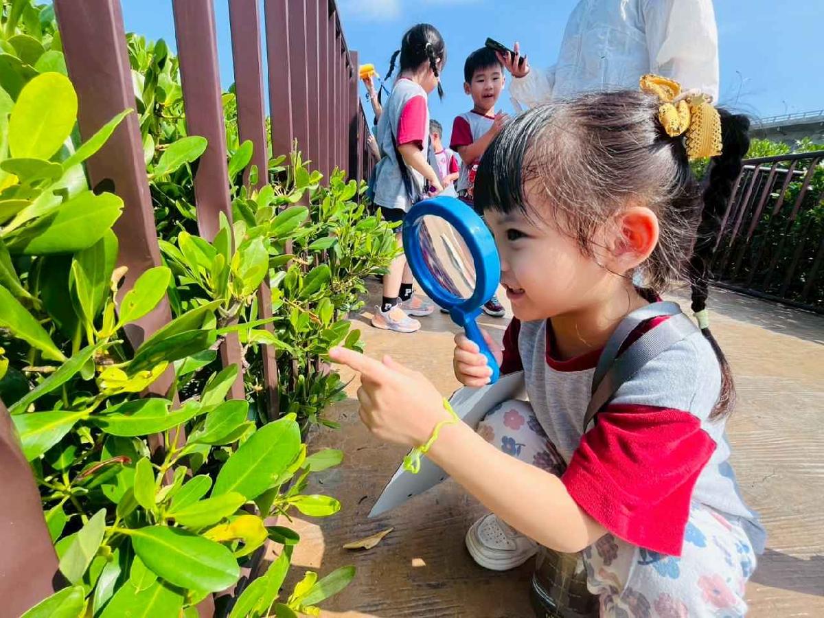 line_album_紅樹林生態教學_251015_123 line_album_紅樹林生態教學_251015_123