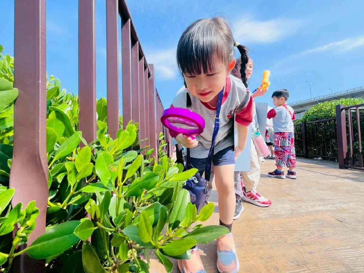 line_album_紅樹林生態教學_251015_125 line_album_紅樹林生態教學_251015_125