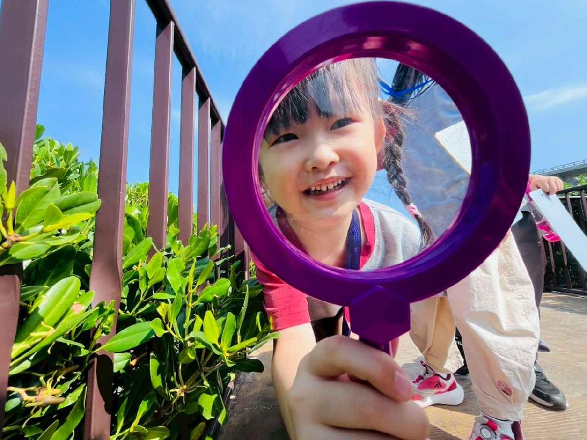 ★紅樹林生態探索之旅