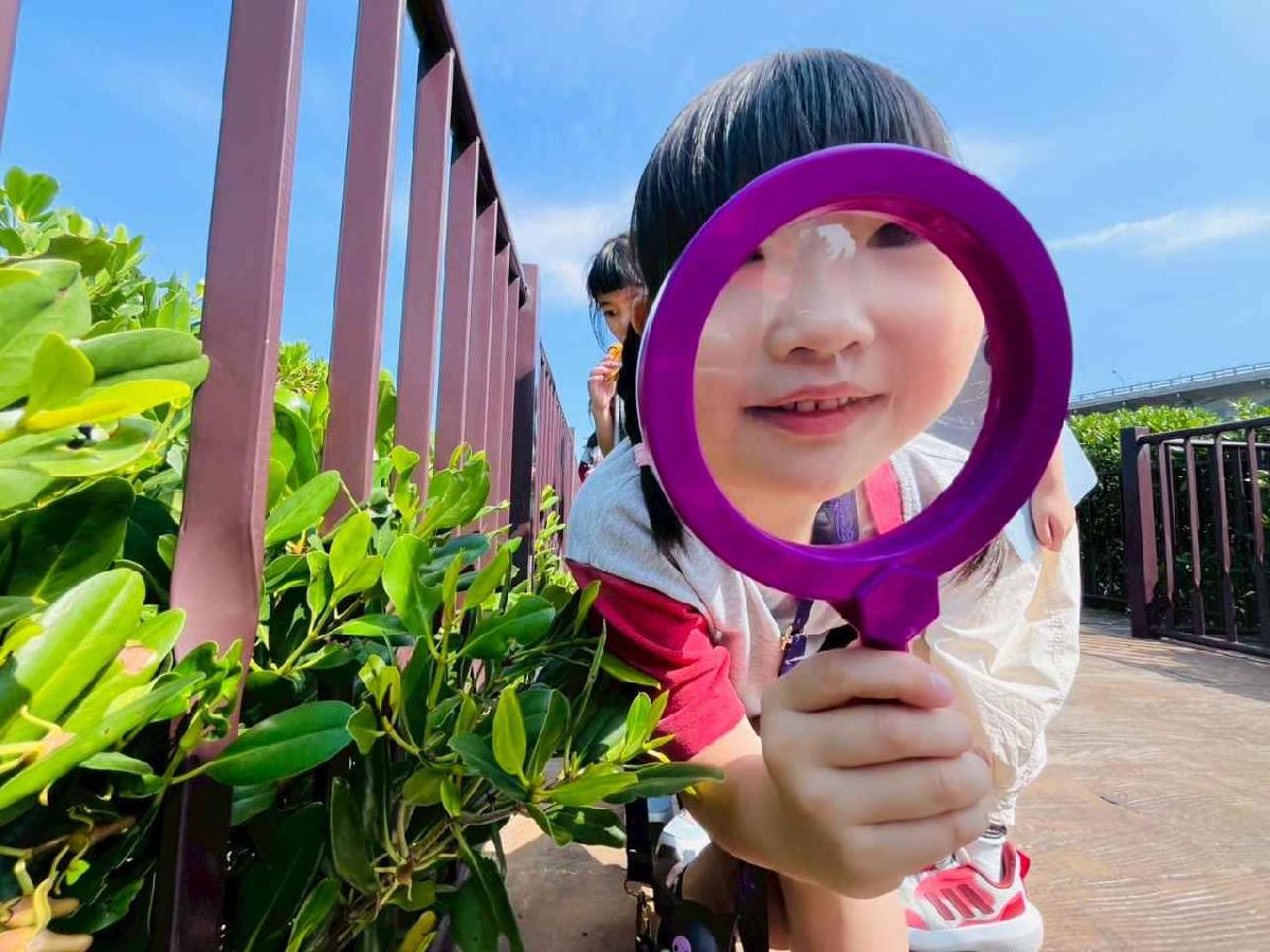 line_album_紅樹林生態教學_251015_129 line_album_紅樹林生態教學_251015_129