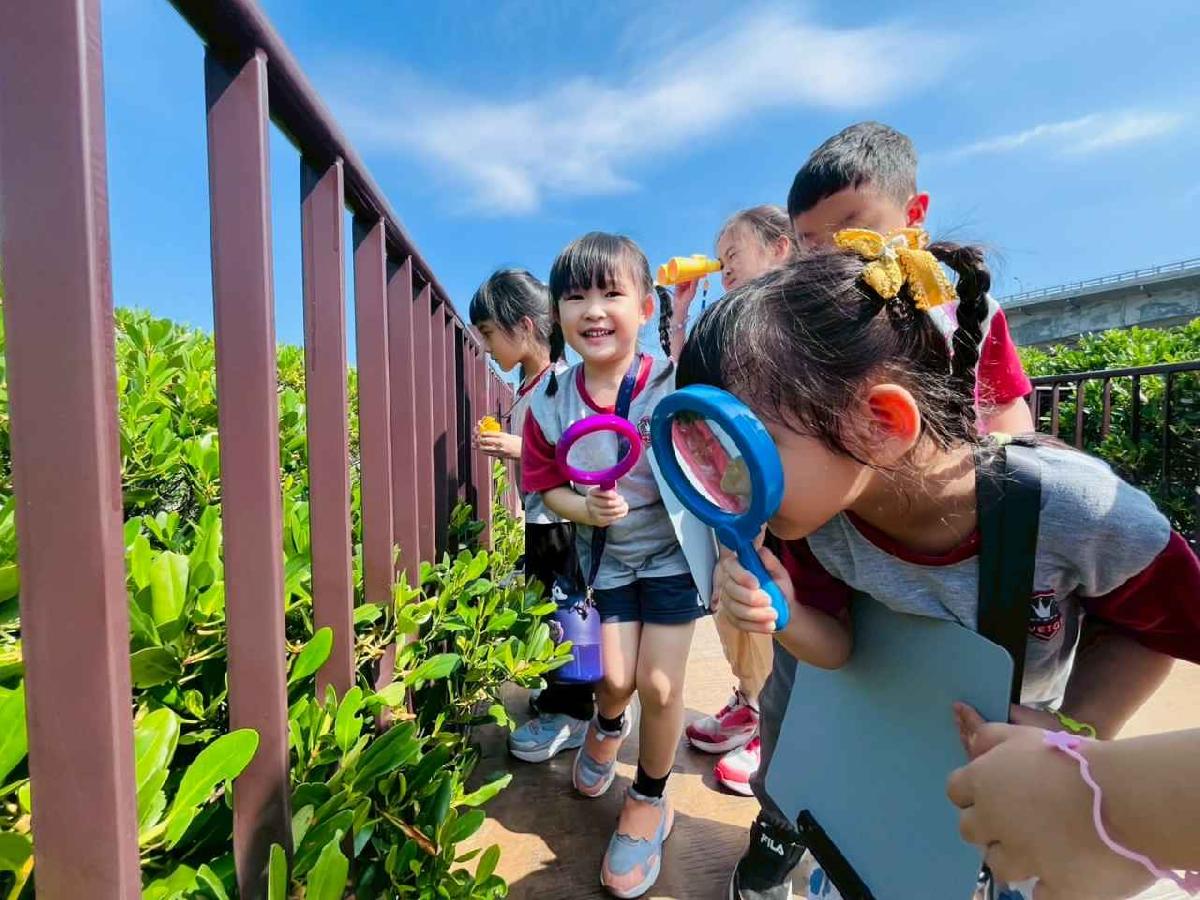 line_album_紅樹林生態教學_251015_130 line_album_紅樹林生態教學_251015_130