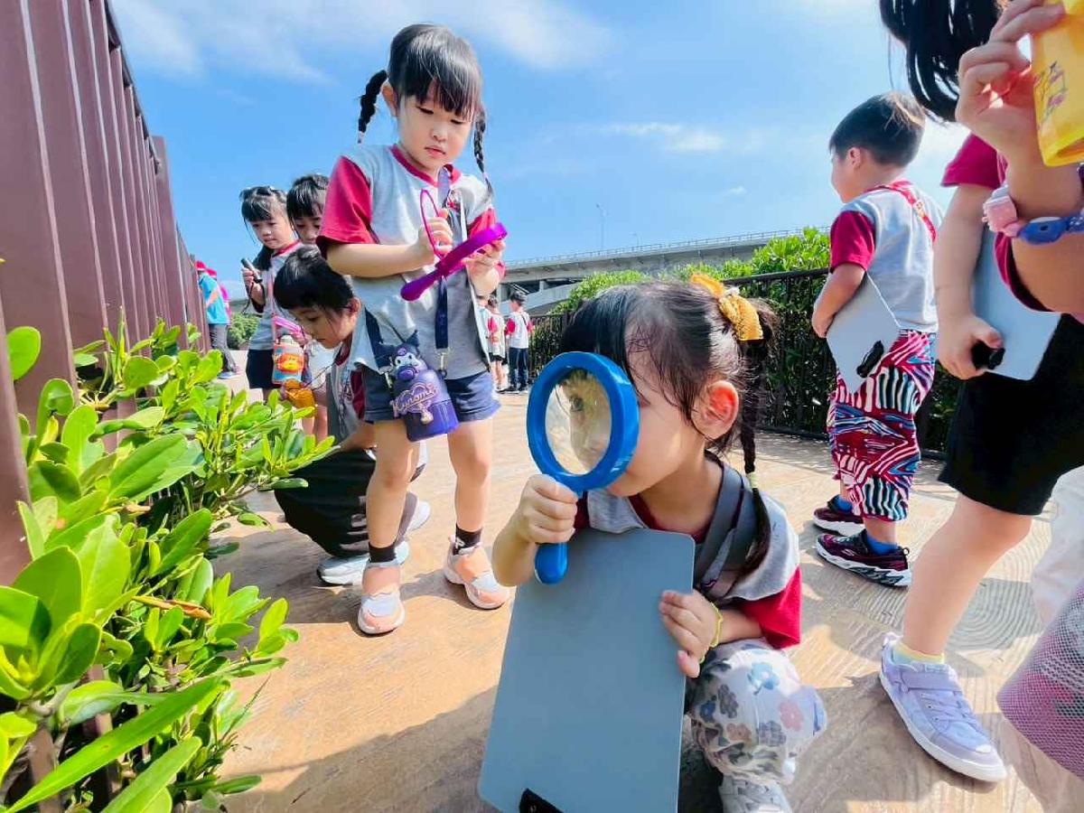 line_album_紅樹林生態教學_251015_132 line_album_紅樹林生態教學_251015_132