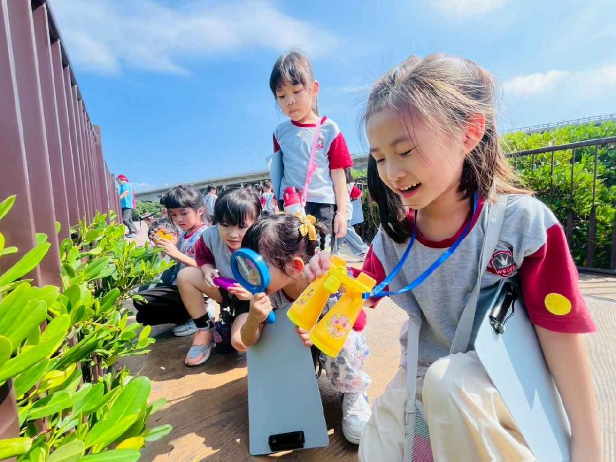 line_album_紅樹林生態教學_251015_135 line_album_紅樹林生態教學_251015_135