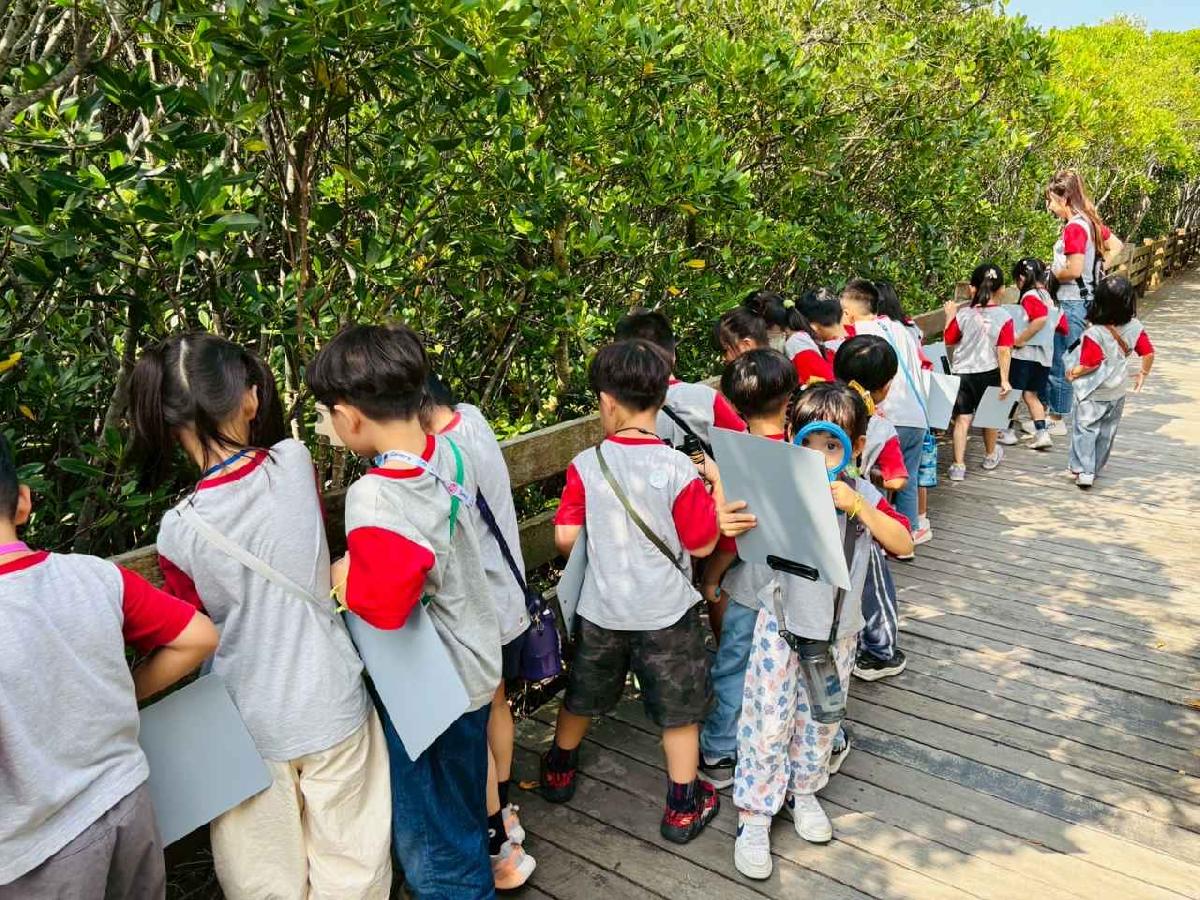 line_album_紅樹林生態教學_251015_20 line_album_紅樹林生態教學_251015_20