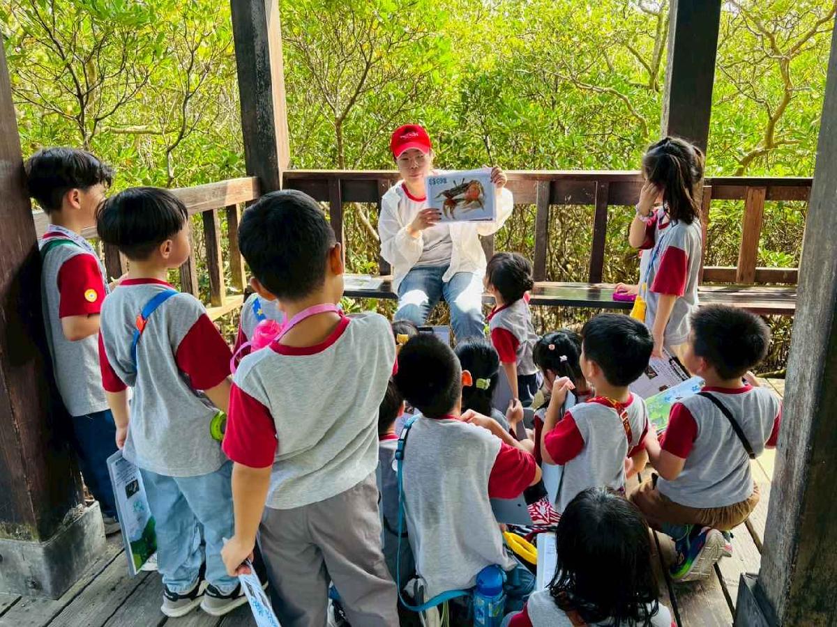 line_album_紅樹林生態教學_251015_33 line_album_紅樹林生態教學_251015_33