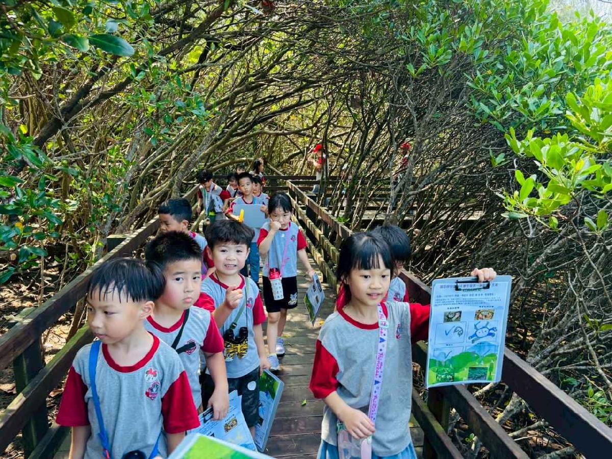 line_album_紅樹林生態教學_251015_44 line_album_紅樹林生態教學_251015_44