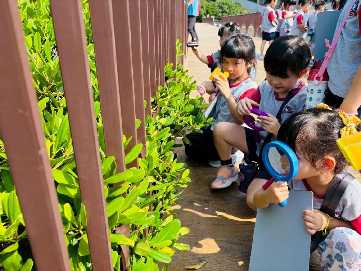 line_album_紅樹林生態教學_251015_12 line_album_紅樹林生態教學_251015_12