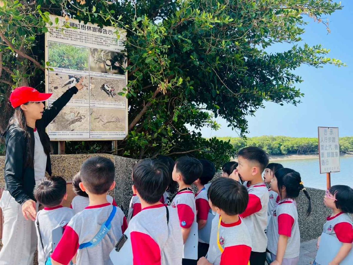 line_album_紅樹林生態教學_251015_84 line_album_紅樹林生態教學_251015_84