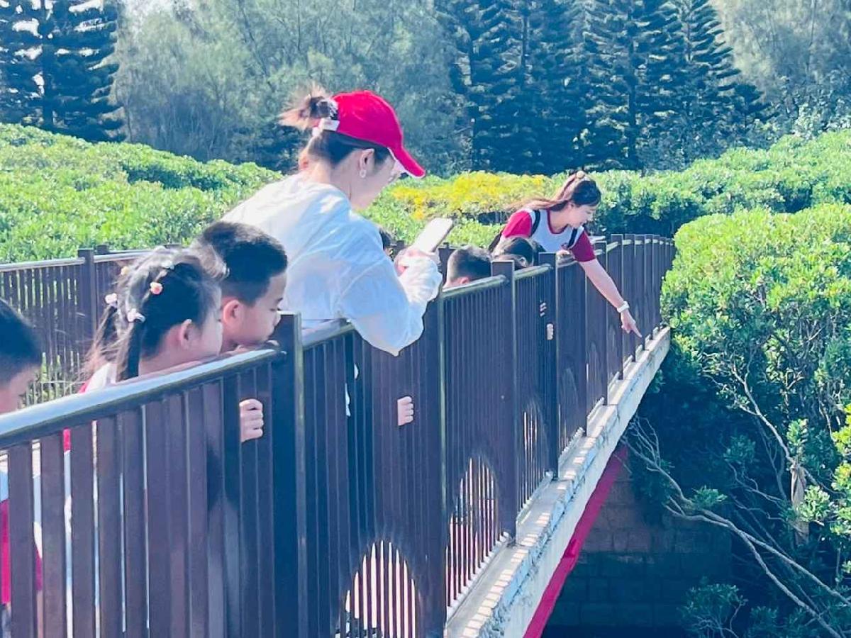 line_album_紅樹林生態教學_251015_92 line_album_紅樹林生態教學_251015_92