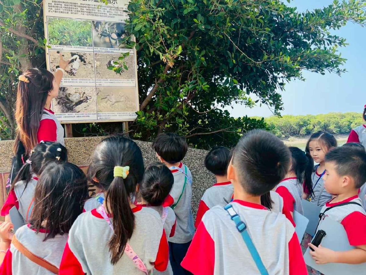 line_album_紅樹林生態教學_251015_70 line_album_紅樹林生態教學_251015_70