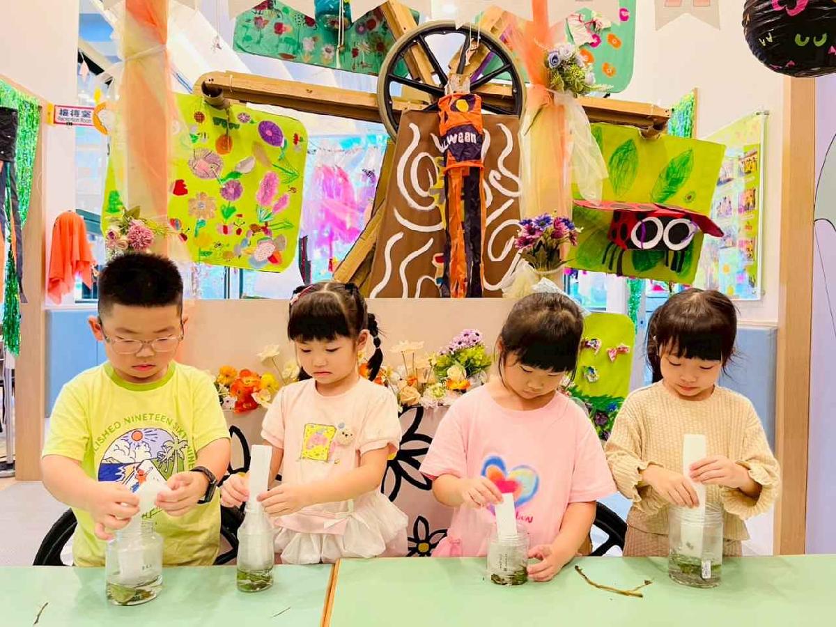 line_album_樹與葉_251023_56 line_album_樹與葉_251023_56