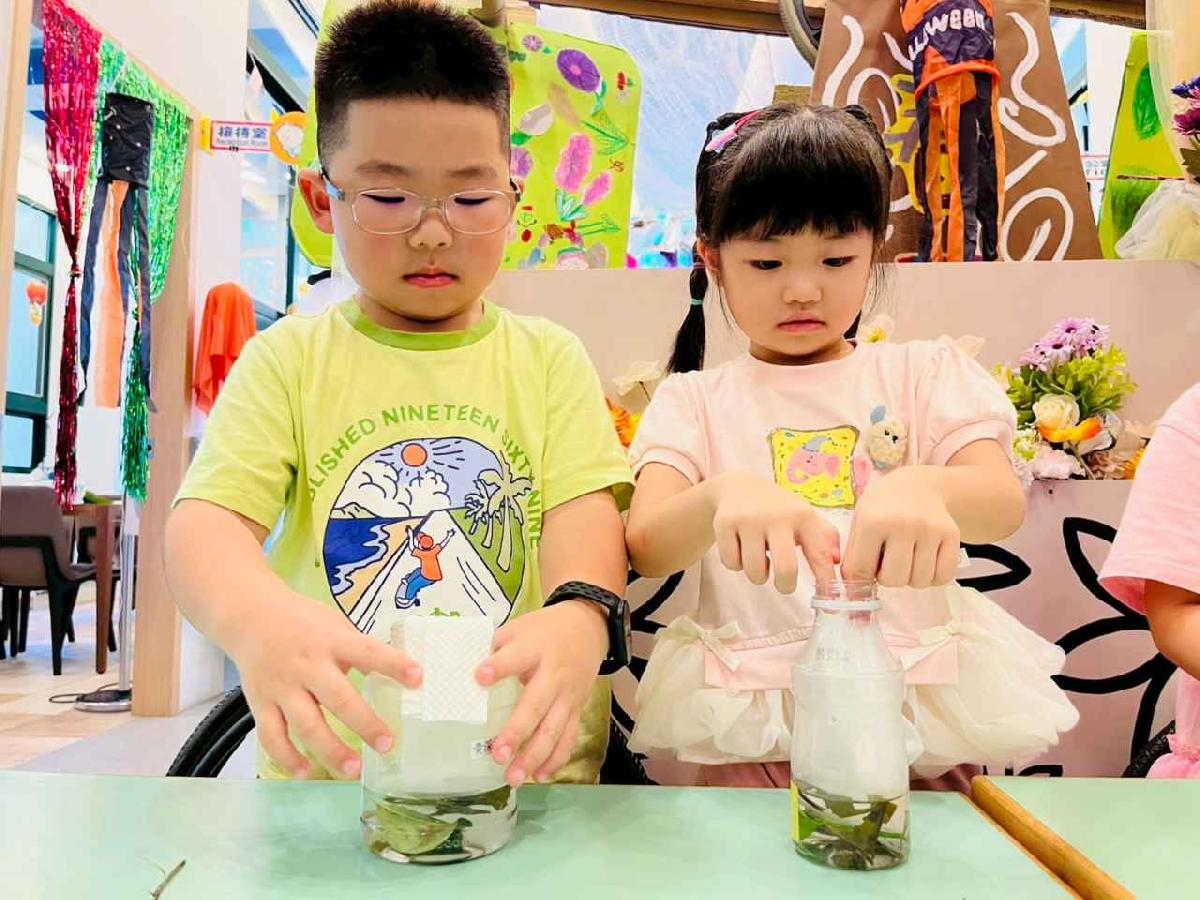 line_album_樹與葉_251023_61 line_album_樹與葉_251023_61