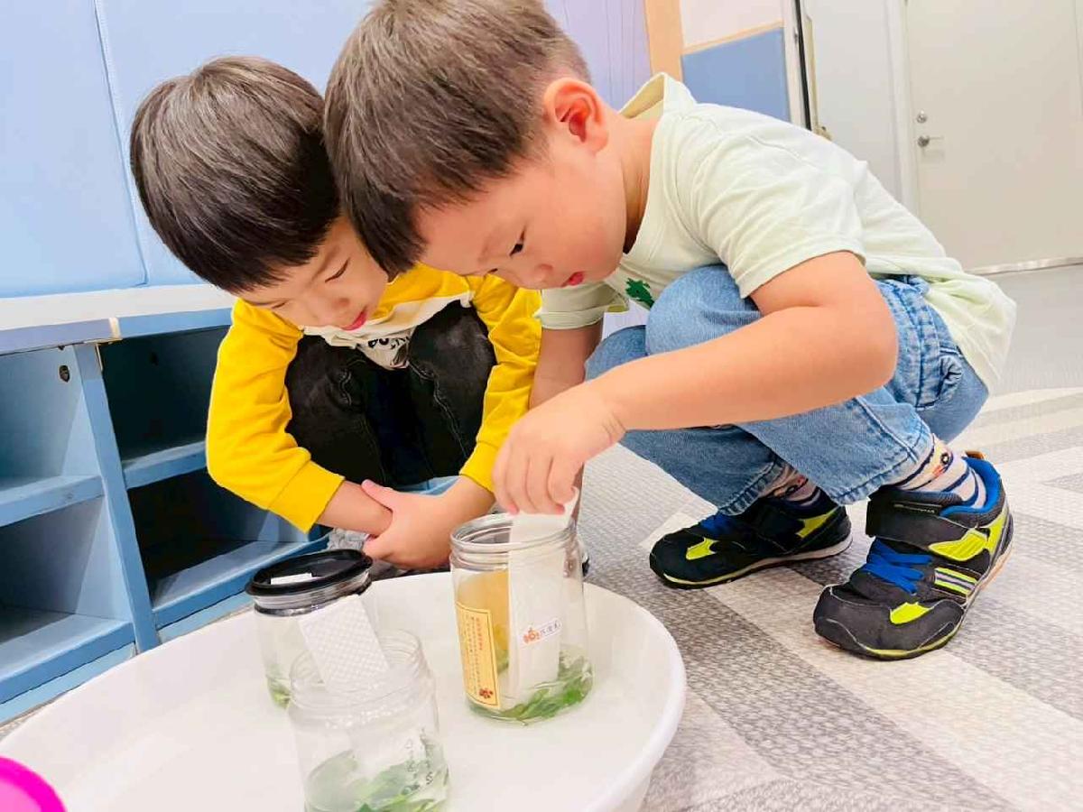 line_album_樹與葉_251023_67 line_album_樹與葉_251023_67