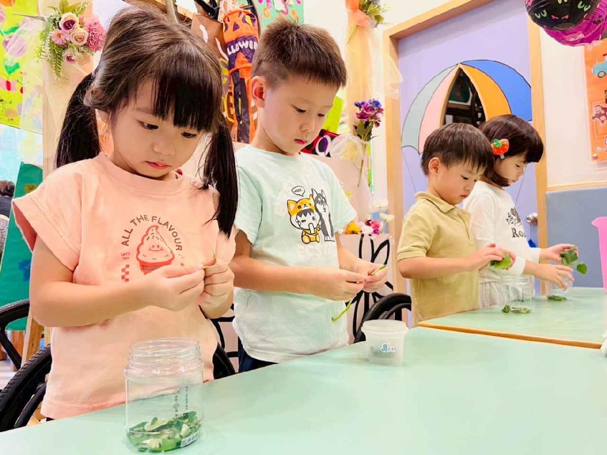 line_album_樹與葉_251023_70 line_album_樹與葉_251023_70