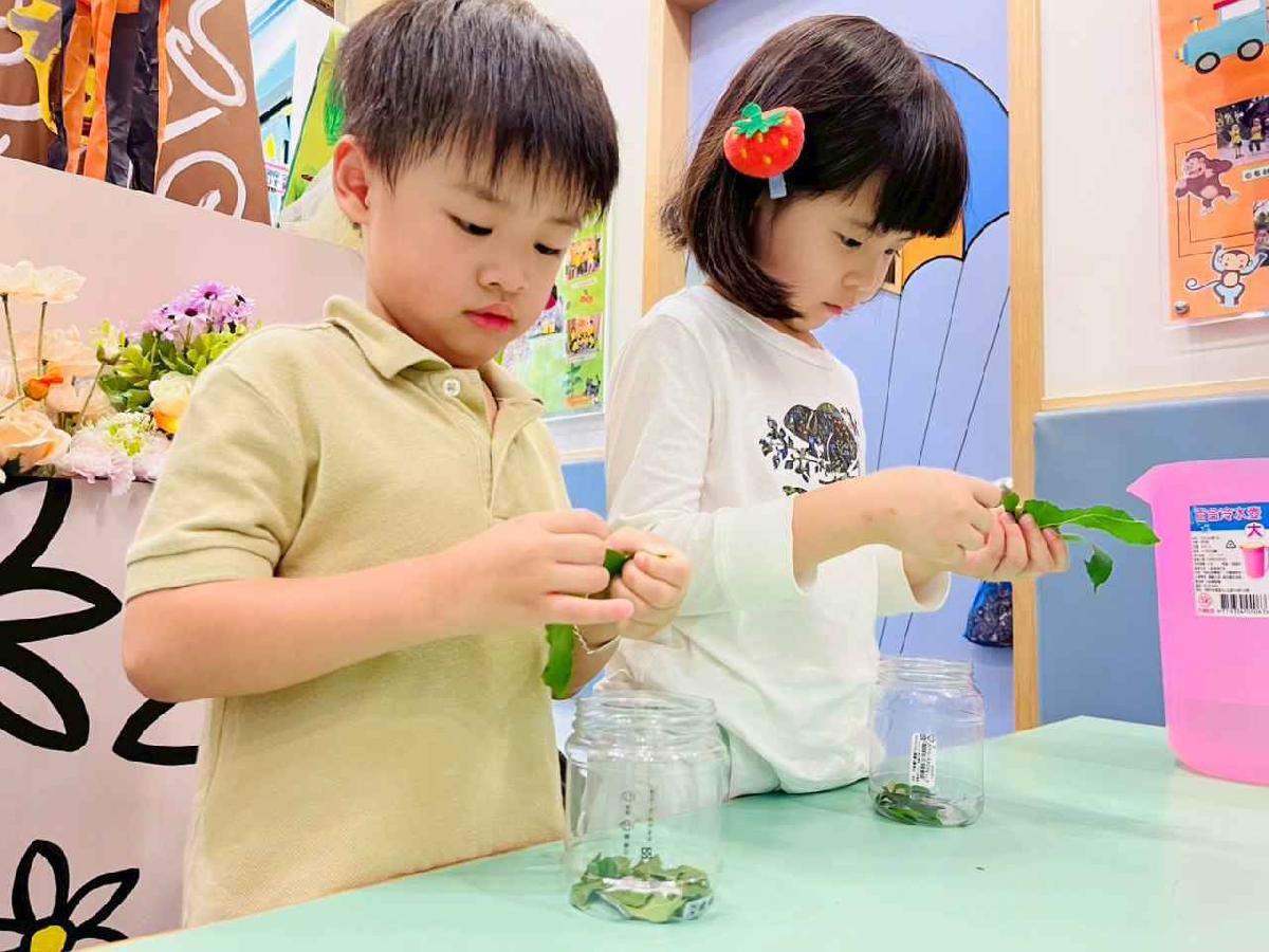 line_album_樹與葉_251023_71 line_album_樹與葉_251023_71