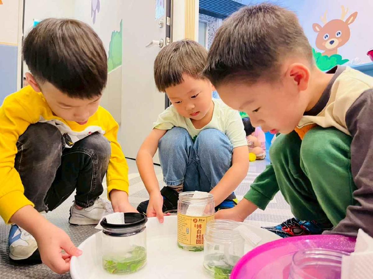 line_album_樹與葉_251023_81 line_album_樹與葉_251023_81