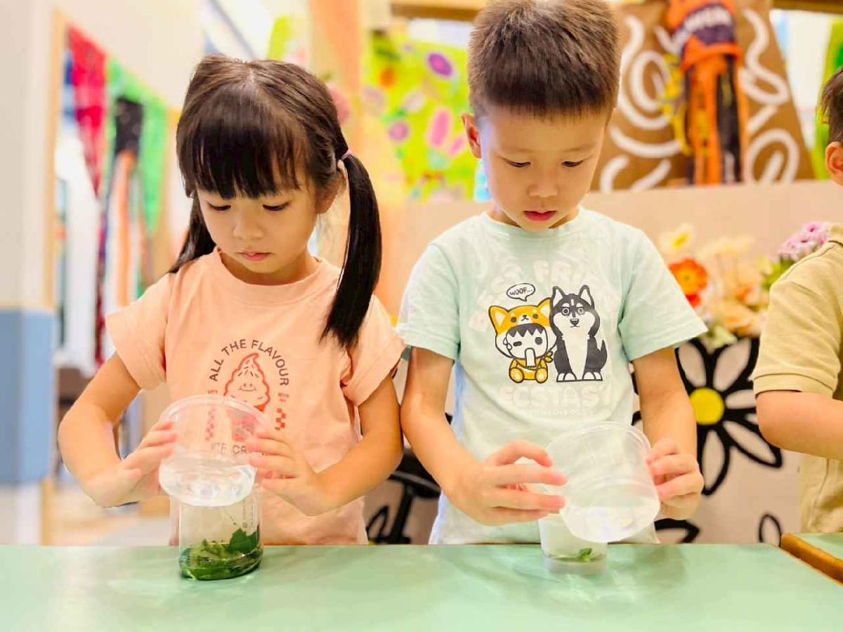 line_album_樹與葉_251023_87 line_album_樹與葉_251023_87