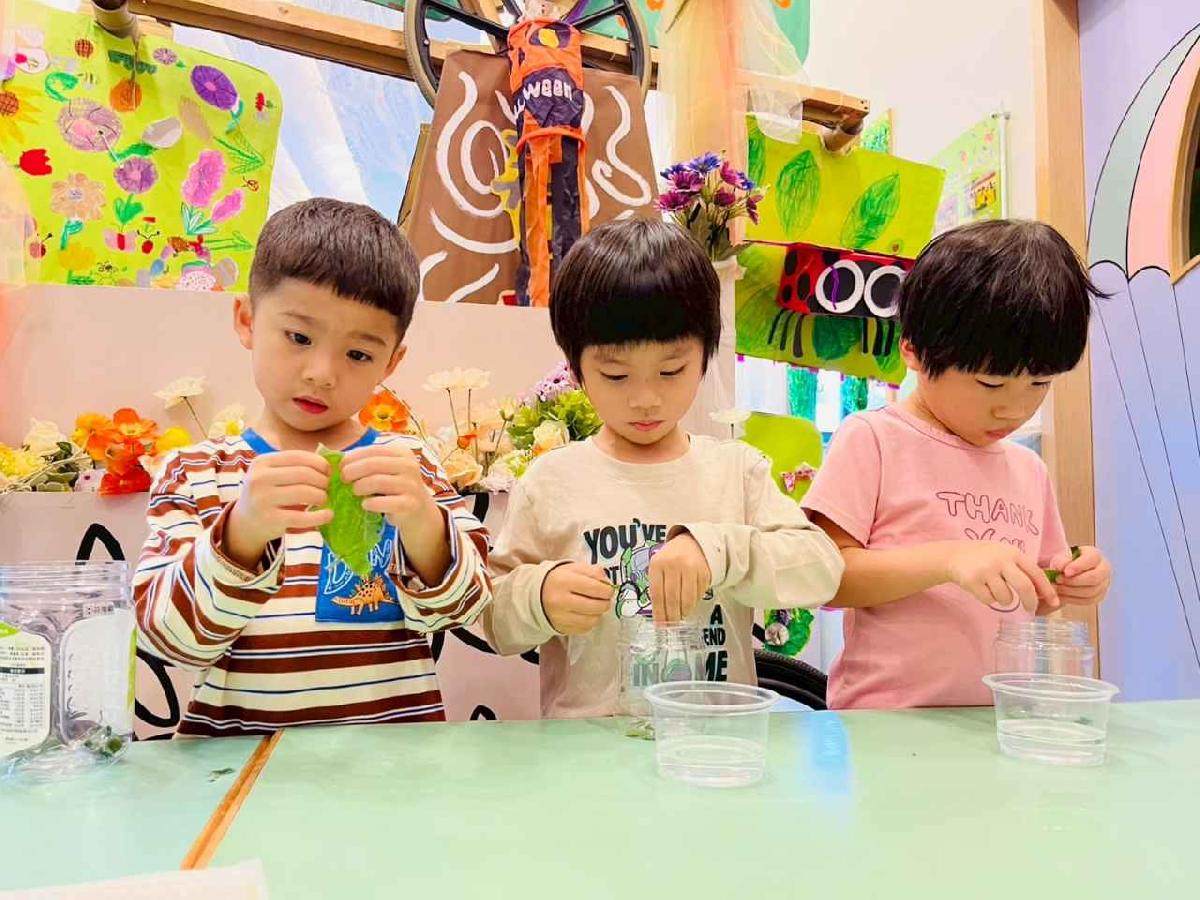 line_album_樹與葉_251023_103 line_album_樹與葉_251023_103