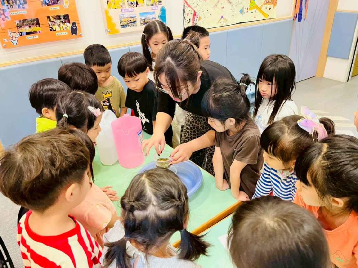 line_album_樹與葉_251023_156 line_album_樹與葉_251023_156