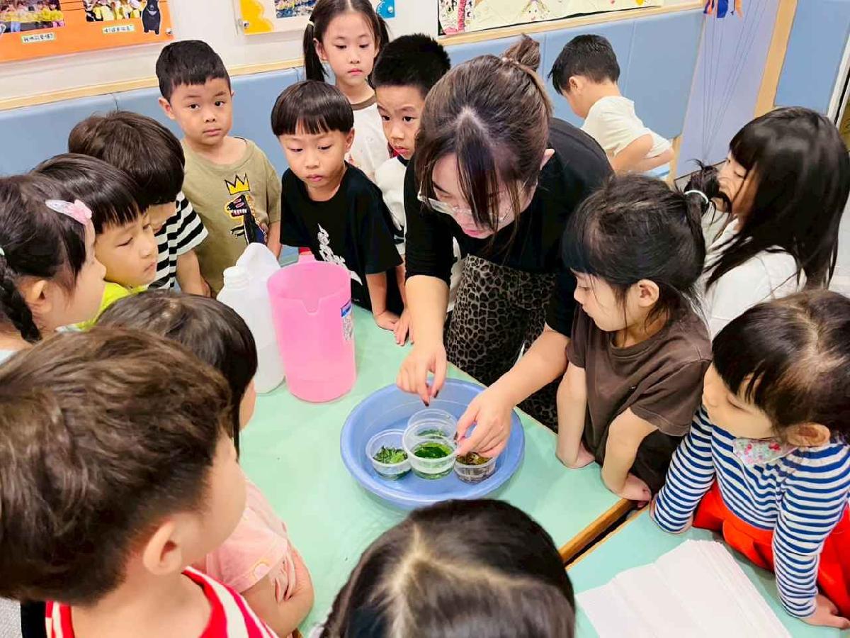 line_album_樹與葉_251023_158 line_album_樹與葉_251023_158