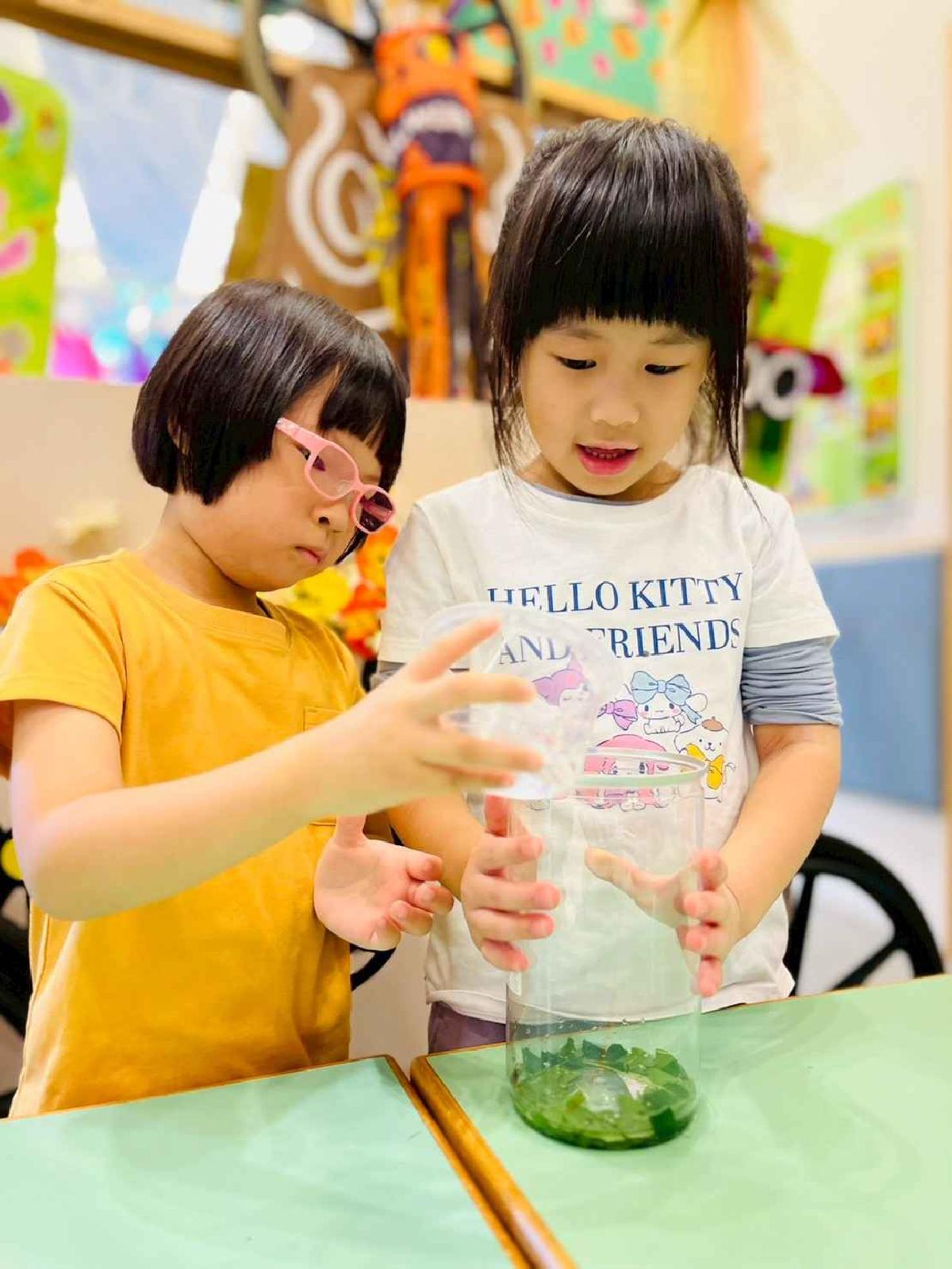 line_album_樹與葉_251023_217 line_album_樹與葉_251023_217