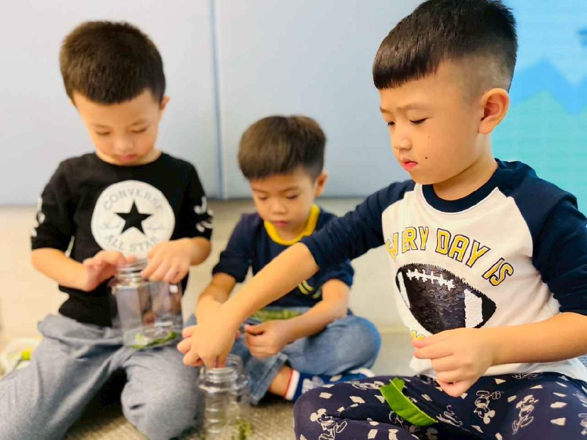 line_album_樹與葉_251023_211 line_album_樹與葉_251023_211