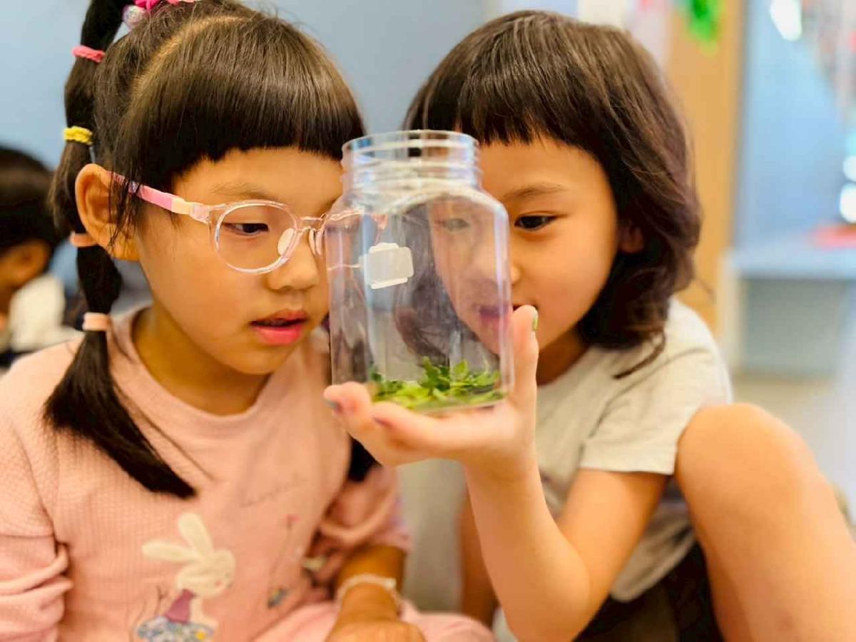 ★主題高峰活動「樹與葉的奇幻實驗室」