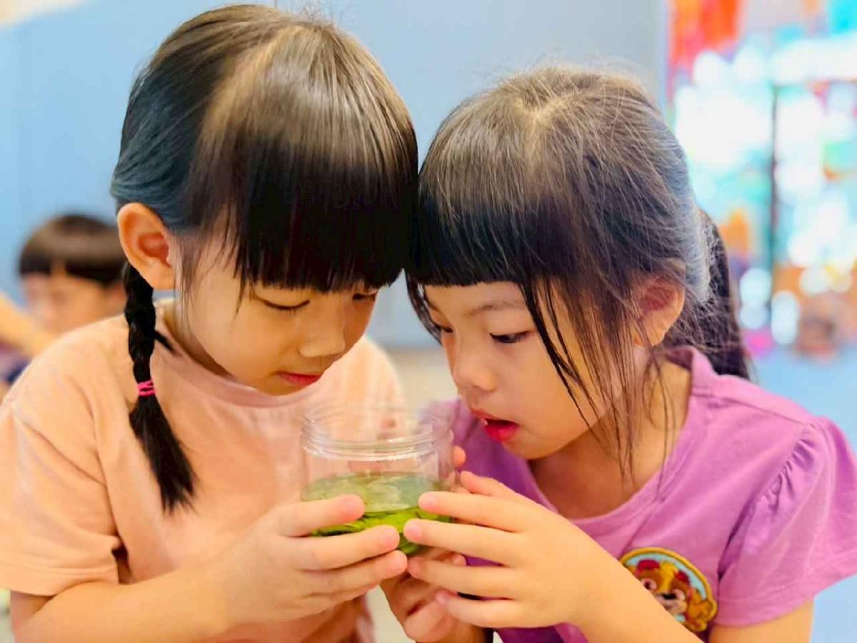 line_album_樹與葉_251023_226 line_album_樹與葉_251023_226